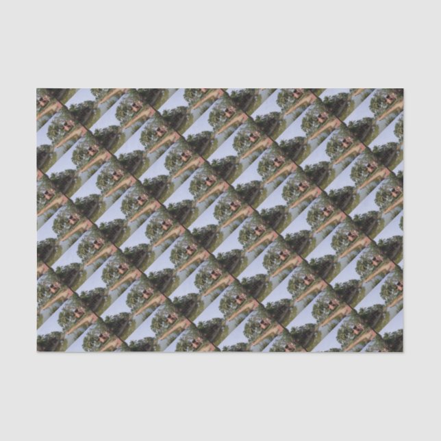 Papier Mousseline Goa Inde (Recto)