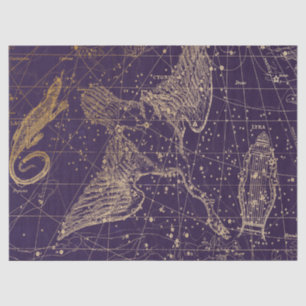 Papier Mousseline Gold Galaxy Star Map Series Design 12