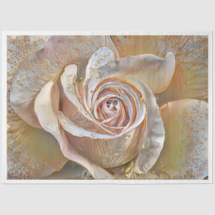 Papier Mousseline Gold Silk Beau Unique Rose Art Dream