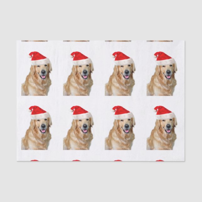 Papier Mousseline Golden Retriever (Recto)