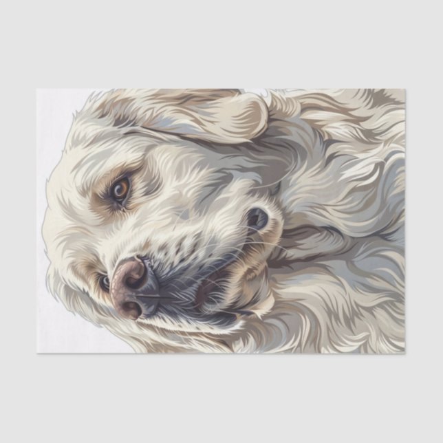 Papier Mousseline Golden Retriever4 (Recto)