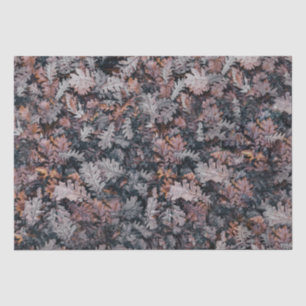 Papier Mousseline Gothique Déplaisant Cosy Automne Nuit Feuilles Aut