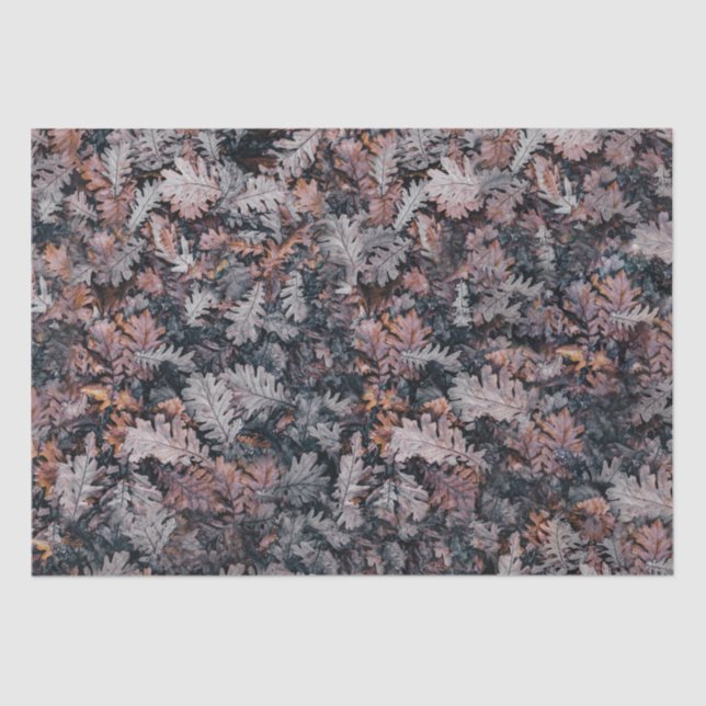 Papier Mousseline Gothique Déplaisant Cosy Automne Nuit Feuilles Aut (Recto)