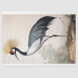 Papier Mousseline Grace Grace Ornithologie Vintage Découpage Art