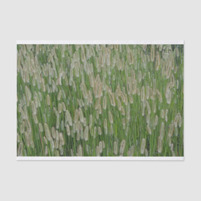 Papier Mousseline Graines vertes (Recto)