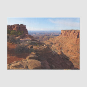 Papier Mousseline Grand View Point dans le parc national de Canyonla