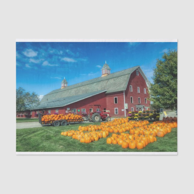 Papier Mousseline Grande Grange Rouge Vermont Avec Citrouilles (Recto)