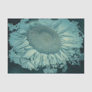 Papier Mousseline Grands Tournesols Vignette Texture Sarcelle Vintag