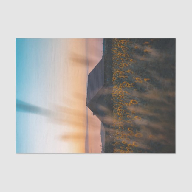 Papier Mousseline Grange entourée d'un terrain de tournesol au couch (Recto)