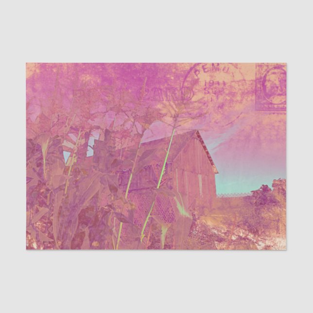 Papier Mousseline Grange Rustique de Campagne Rose Jaune Écriture Ép (Recto)