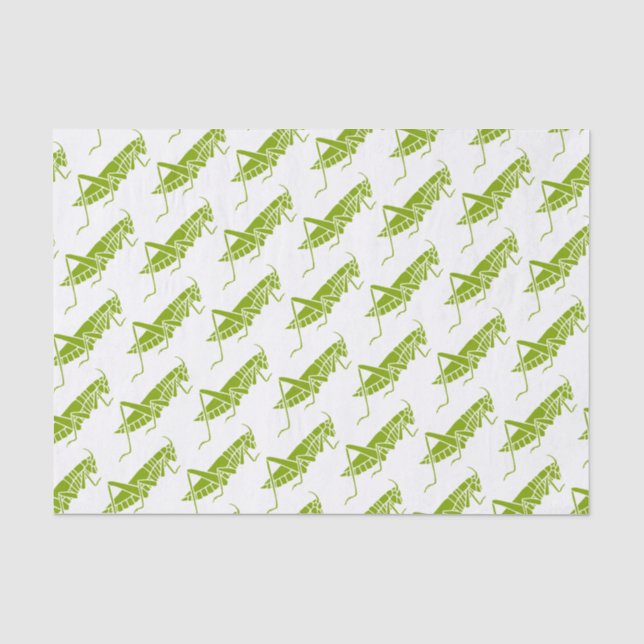 Papier Mousseline Grasshoppers (Recto)