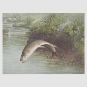 Papier Mousseline Gravure ancienne de pêche à la mouche : truite de
