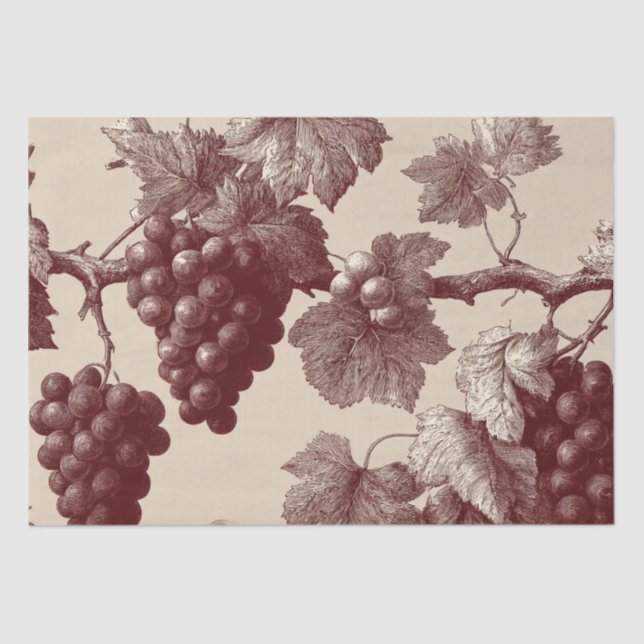 Papier Mousseline Gravure ancienne de raisins de vignoble (Recto)