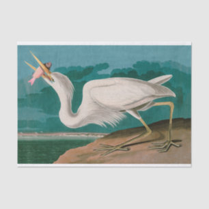 Papier Mousseline Great White Heron Birds of America Audubon Imprime
