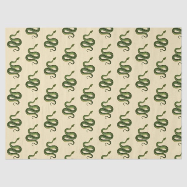 Papier Mousseline Green Snake (Recto)