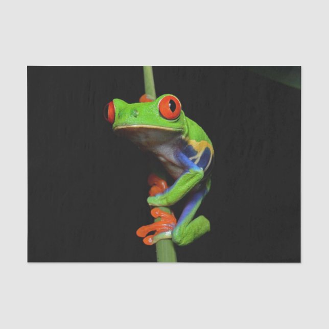 Papier Mousseline Grenouille à feuilles rouges (Recto)