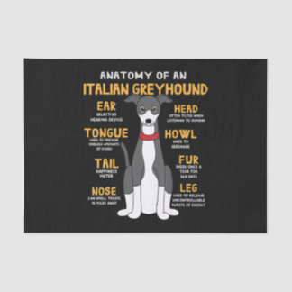 Papier Mousseline Greyhound Anatomy Funny Dog Maman Poison
