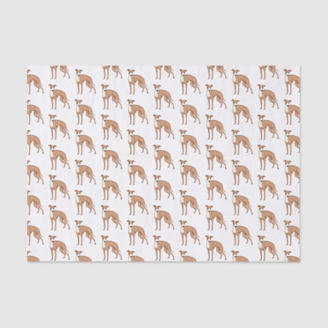 Papier Mousseline Greyhound dog (Recto)