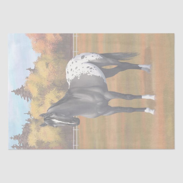 Papier Mousseline Gris Grulla Appaloosa Quartier Horse Stallion (Recto)