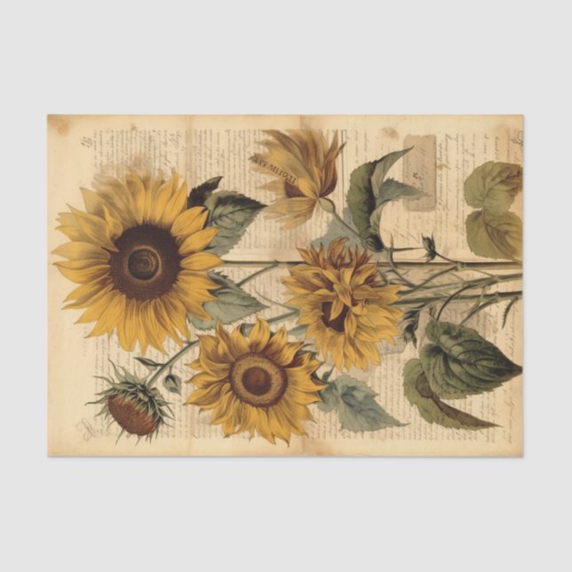 Papier Mousseline Gros, Joyeux tournesols Vintages sur script (Recto)
