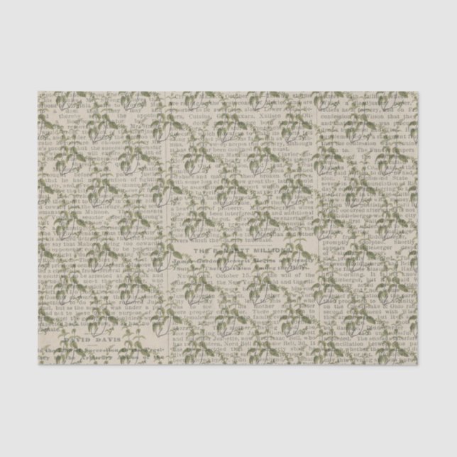 Papier Mousseline Grosses vignes et papier journal (Recto)