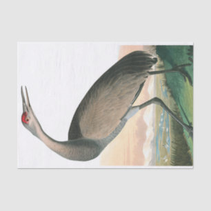 Papier Mousseline Grue à capuchon par John James Audubon