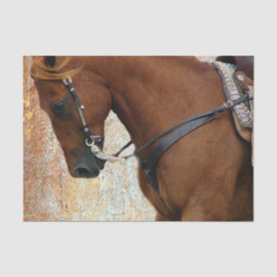 Papier Mousseline Grunge occidentale de cheval d'oseille