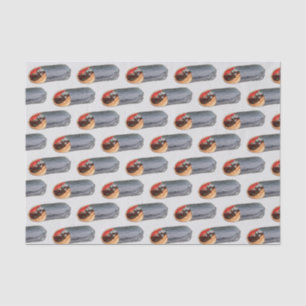 Papier Mousseline Gyro Gita Viande Sandwich Méditerranéen