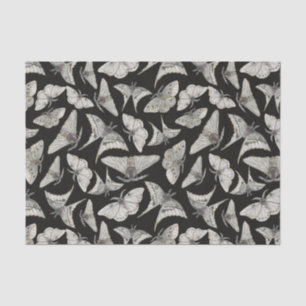 Papier Mousseline Halloween Motif papillon de papillon noir