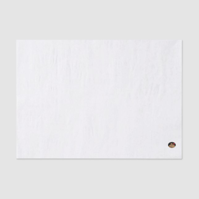 Papier Mousseline HAMbyWG - 10lb Papier Tissu, bleu clair (Recto)