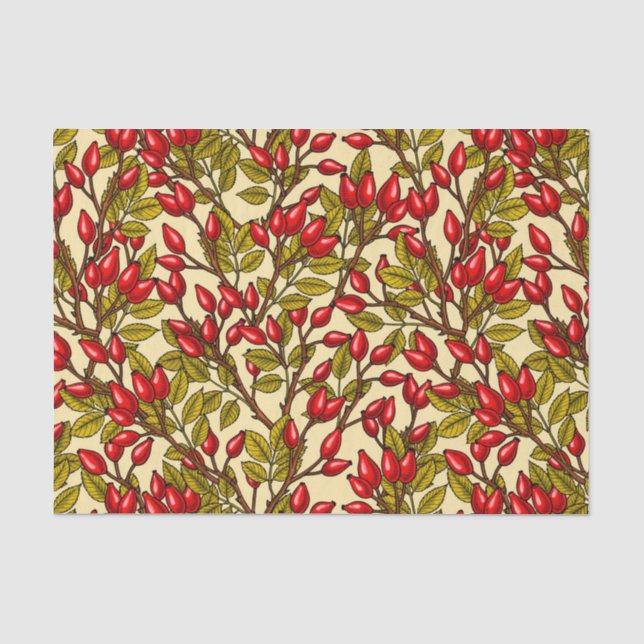 Papier Mousseline hanches roses, rouge, vert, jaune (Recto)