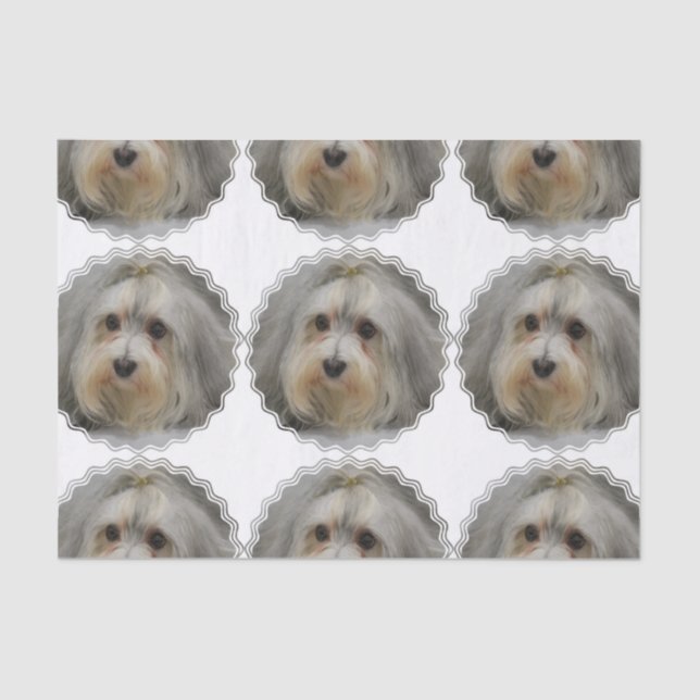 Papier Mousseline Havanese (Recto)