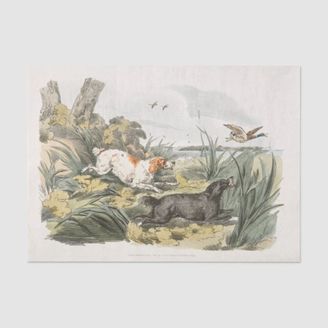 Papier Mousseline Henry Alken | Chiens à la chasse (Recto)