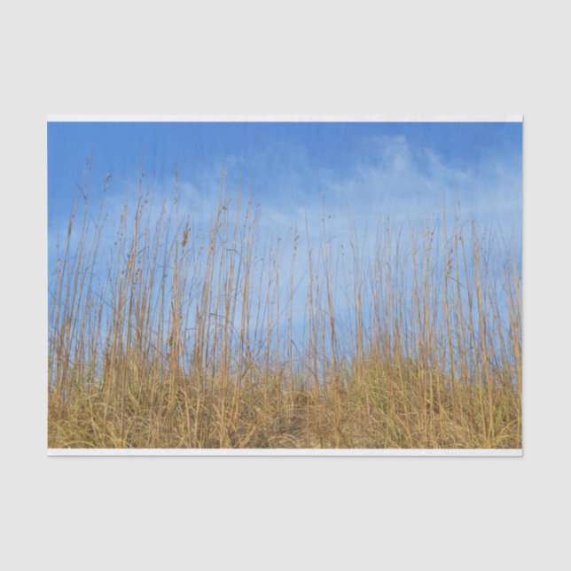 Papier Mousseline Herbe de plage par Shirley Taylor (Recto)