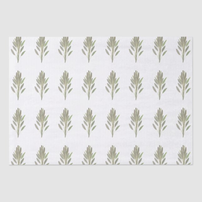 Papier Mousseline Herbe de Sage plante verdure végétale Aquarelle (Recto)