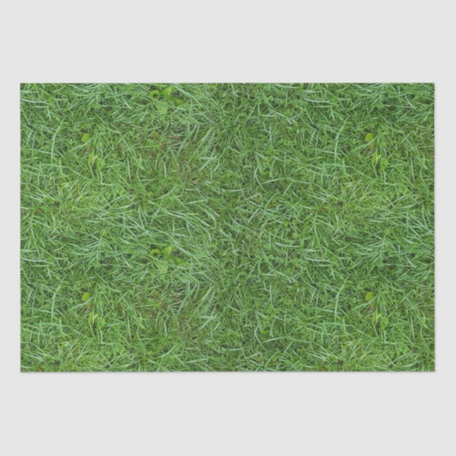 Papier Mousseline Herbe verte (Recto)
