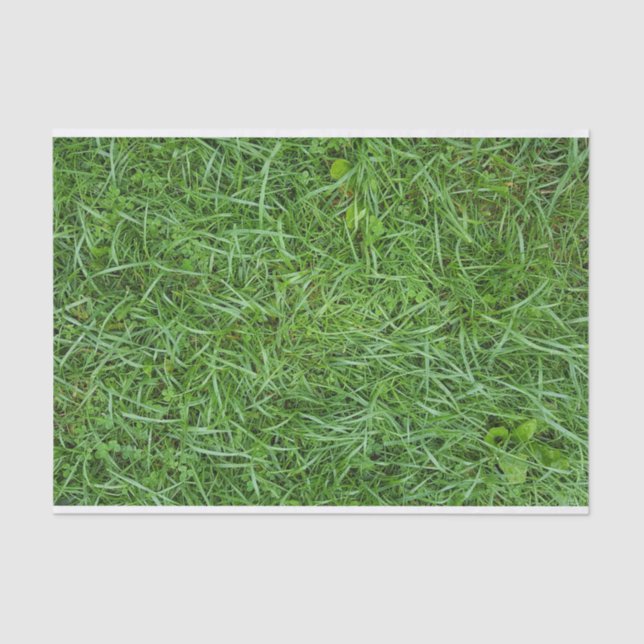 Papier Mousseline Herbe verte (Recto)