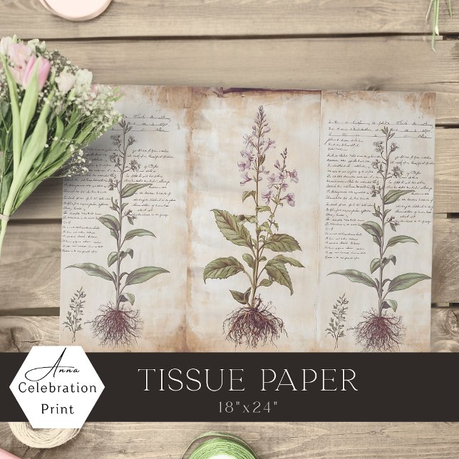Papier Mousseline Herbes Botaniques Antiques Decoupage (Créateur téléchargé)
