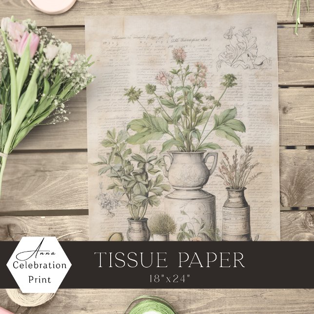 Papier Mousseline Herbes botaniques vintage parchemin rustique ferme (Créateur téléchargé)