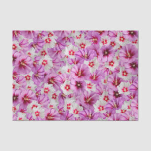 Papier Mousseline Hibiscus - Motif Rose chinois