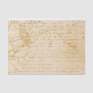 Papier Mousseline Hibou Arbre Écriture Mots Vintage Antique désaffec