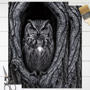 Papier Mousseline Hibou dans un creux d'arbre noir et blanc