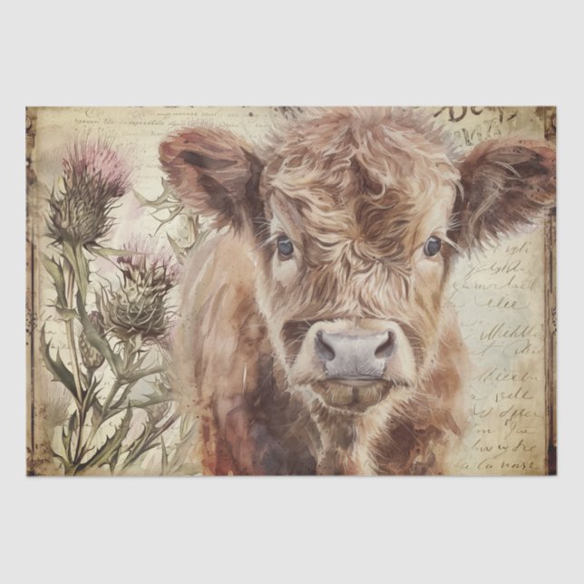 Papier Mousseline Highland Cow Calf Scotland Thistolore (Recto)