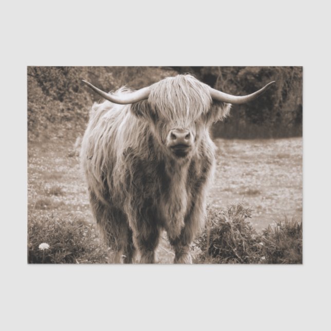 Papier Mousseline Highland Cow Scotland Russe Monotone Brown (Recto)