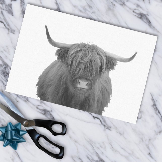 Papier Mousseline Highland Cow Scotland Russe Noir Blanc (Créateur téléchargé)