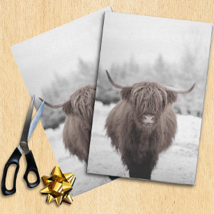 Papier Mousseline Highland Cow Scotland Rustic  Tissue Paper