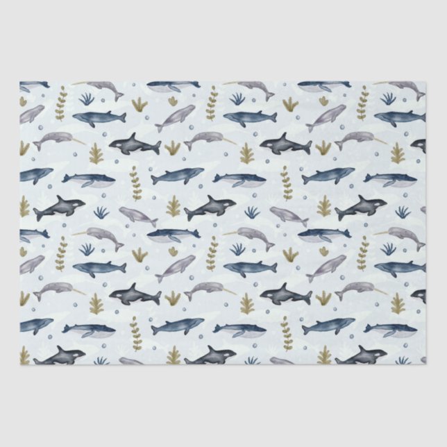 Papier Mousseline Histoire moderne de la baleine d'aquarelle (Recto)