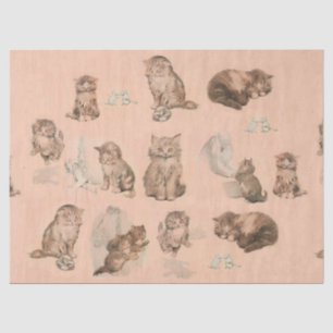 PAPIER MOUSSELINE HISTOIRES DE CHAT DE CUISINE AMUSANTE EN ROSE