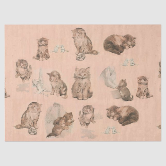 PAPIER MOUSSELINE HISTOIRES DE CHAT DE CUISINE AMUSANTE EN ROSE (Recto)