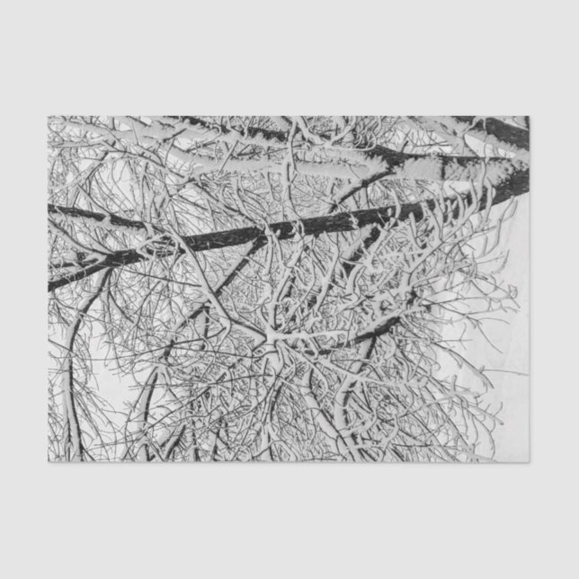 Papier Mousseline Hiver Blizzard Storm Snowy Tree Nature Photographi (Recto)